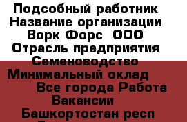 Подсобный работник › Название организации ­ Ворк Форс, ООО › Отрасль предприятия ­ Семеноводство › Минимальный оклад ­ 30 000 - Все города Работа » Вакансии   . Башкортостан респ.,Баймакский р-н